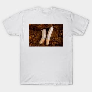 sli grubs T-Shirt